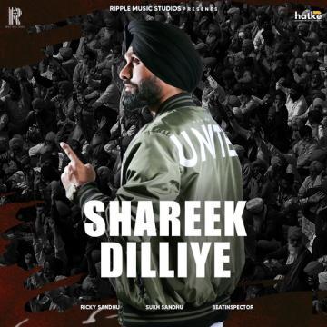 download Shreek-Dilliye Ricky Sandhu mp3